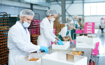 Food Packaging Jobs in Finland With Visa Sponsorship 2025