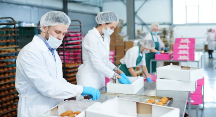 Food Packaging Jobs in Finland With Visa Sponsorship 2025